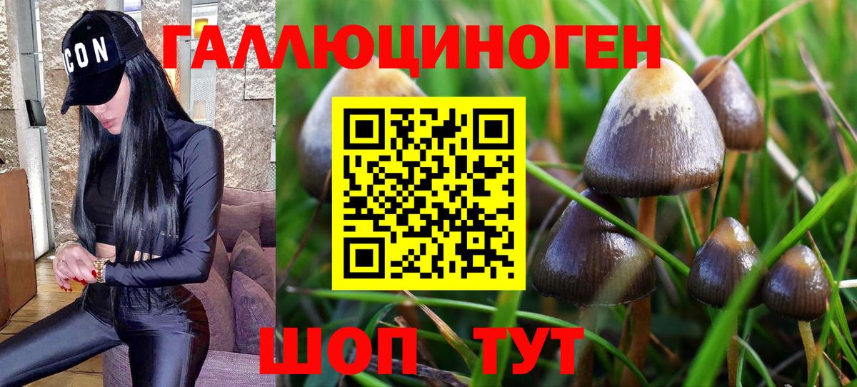 Галлюциногенные грибы Magic Shrooms Реутов